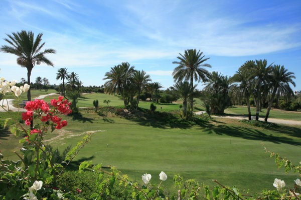 Golf trip gallery