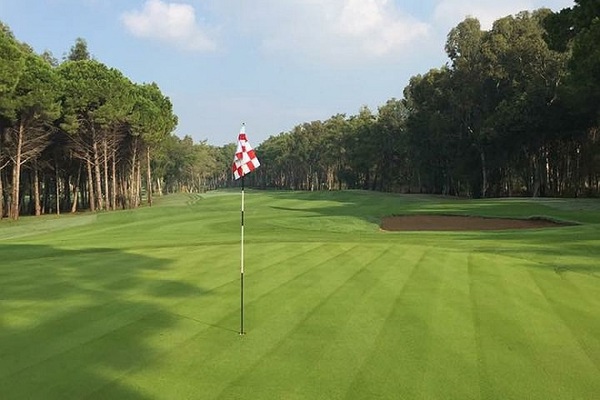 Golf trip gallery